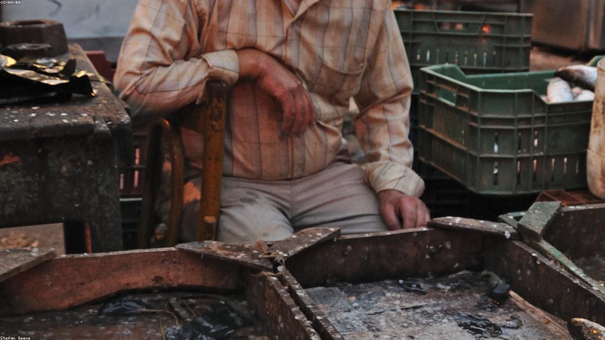 Александрия и Средиземноморье: Местная кухня и бюджет на месте