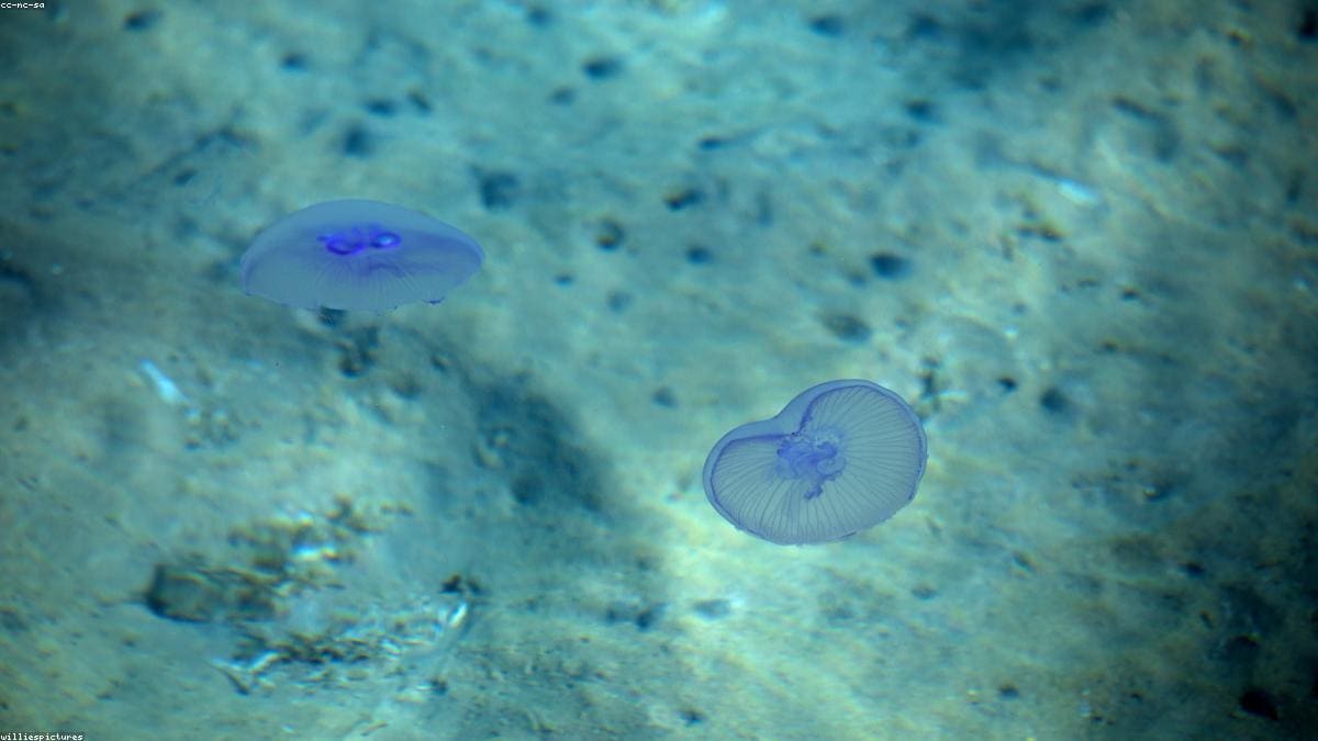 Красное море: Луксор как выезд с Красного моря