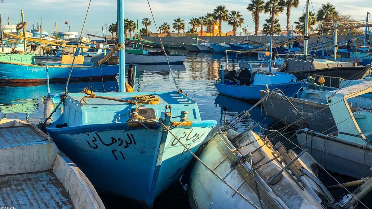 Красное море: Что не стоит соединять в один день