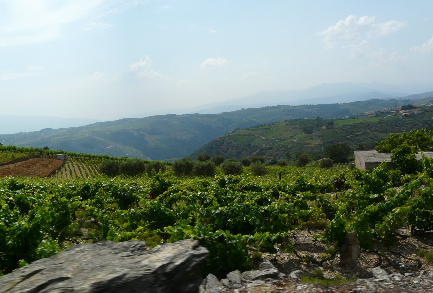 Atlantic Portugal extension: Madeira, Azores и coastal scenery